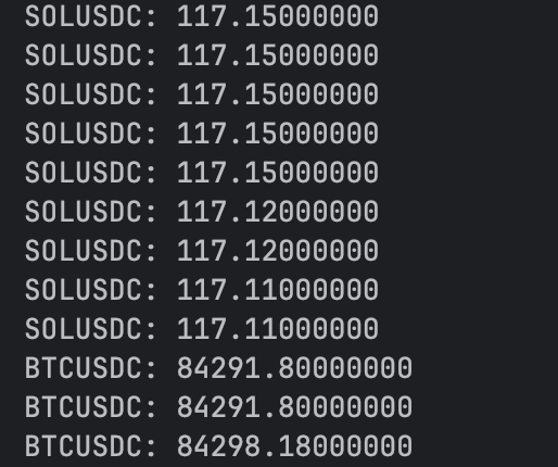 Screenshot of terminal for Rust hot reload cli